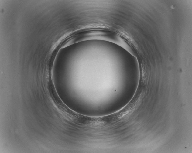 X0000073860348200608101256