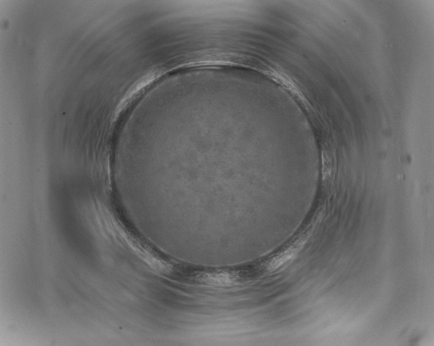 X0000073860349200608101256