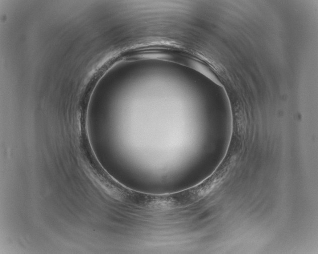 X0000073860350200608101256