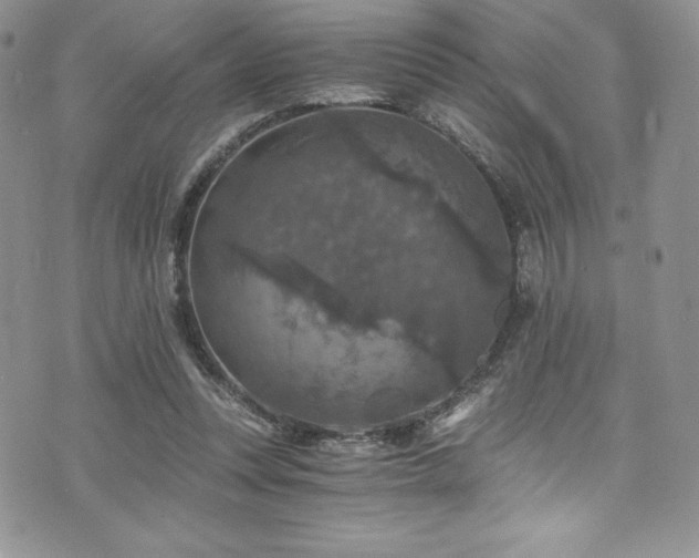 X0000073860351200608101256