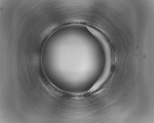 X0000073860352200608101256