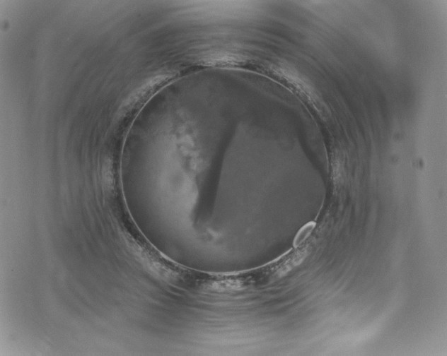 X0000073860353200608101256