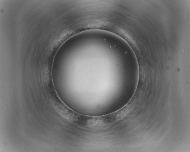 X0000073860354200608101256