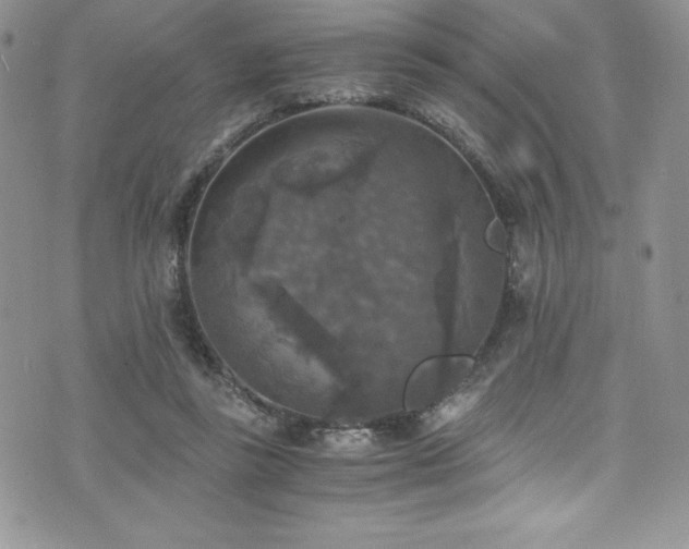 X0000073860355200608101256