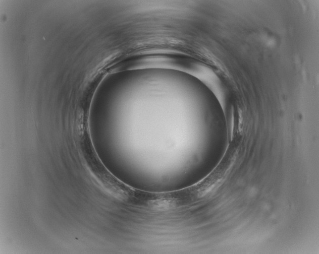 X0000073860356200608101256