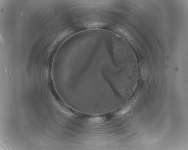 X0000073860357200608101256