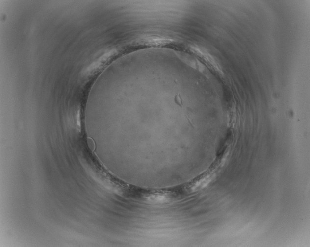 X0000073860358200608101256