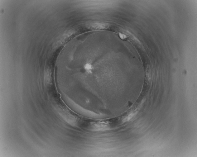 X0000073860359200608101256