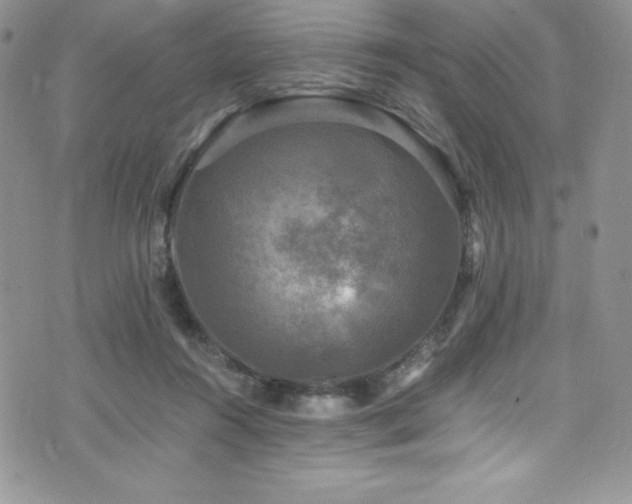 X0000073860360200608101256