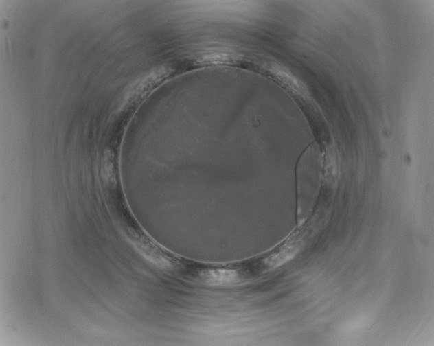 X0000073860361200608101256