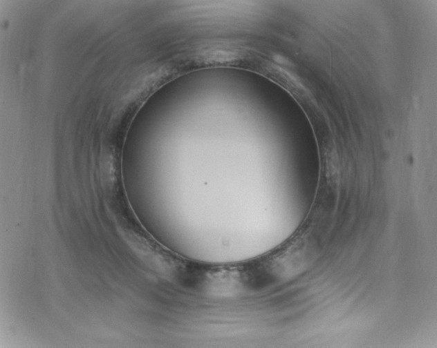 X0000073860362200608101256