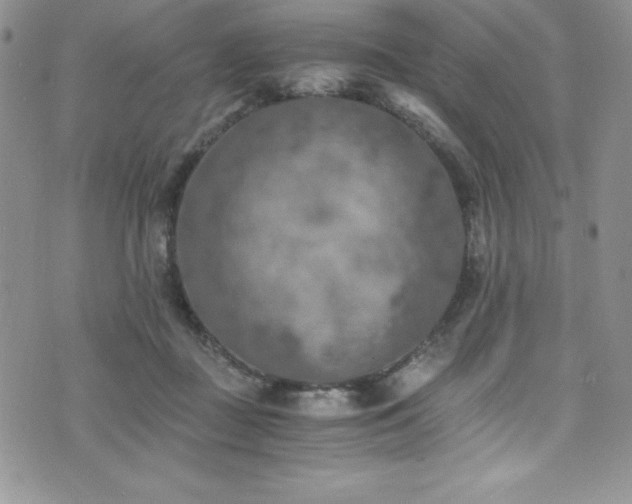 X0000073860363200608101256