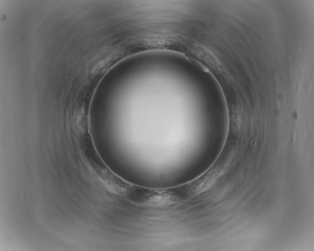 X0000073860364200608101256