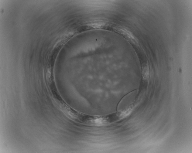 X0000073860365200608101256