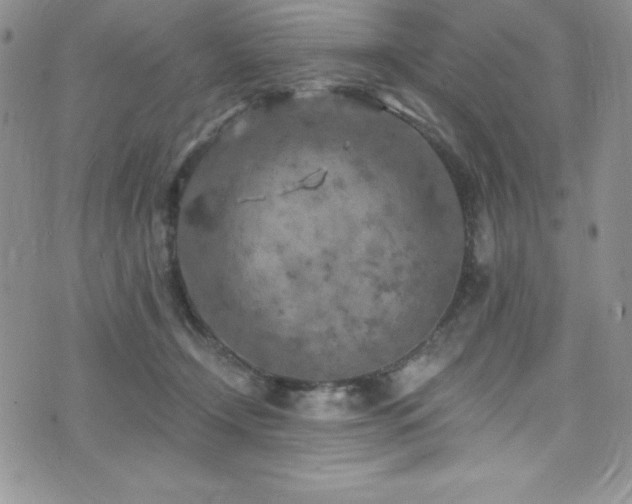 X0000073860366200608101256