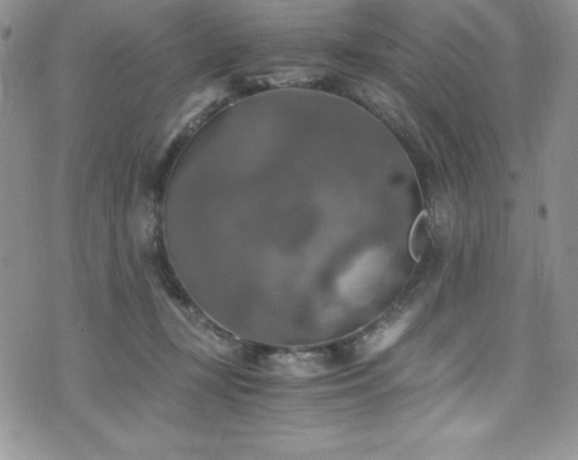 X0000073860367200608101256