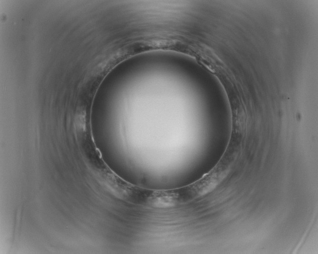 X0000073860368200608101256