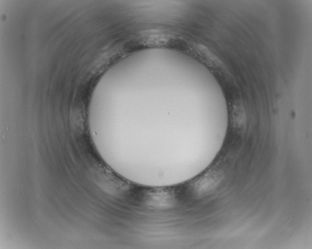 X0000073860370200608101256