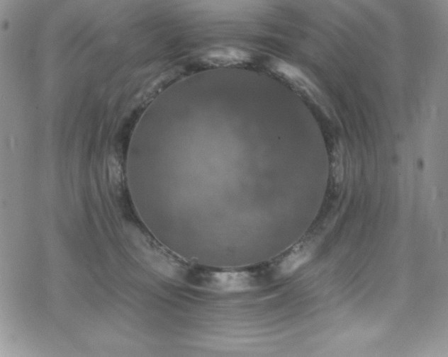 X0000073860371200608101256