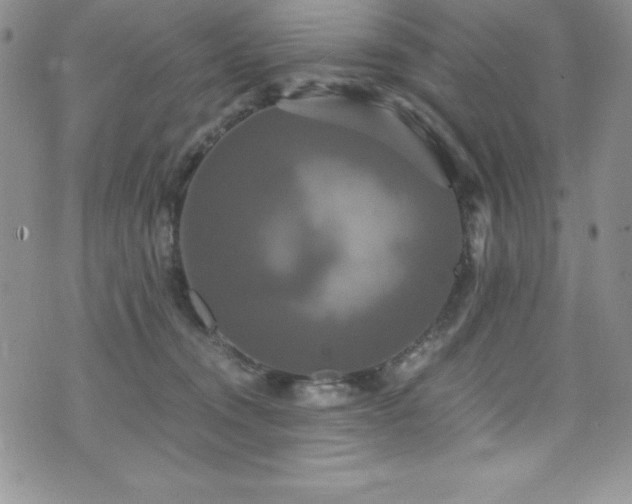 X0000073860372200608101256