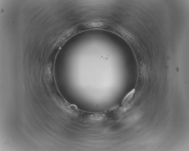 X0000073860373200608101256