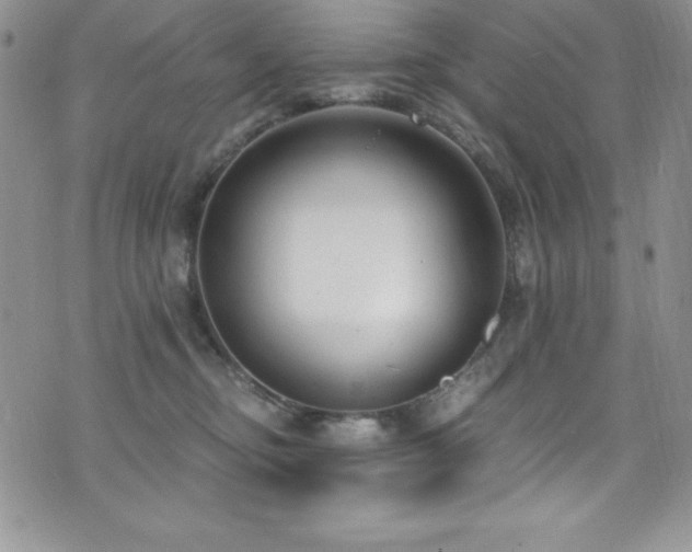 X0000073860374200608101256