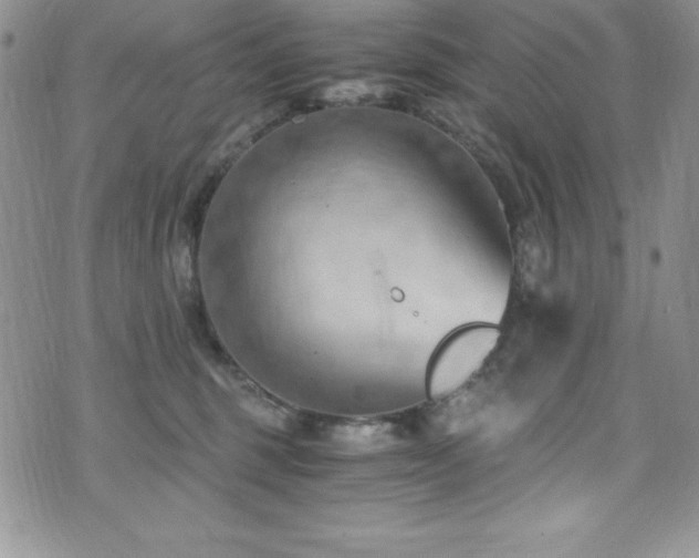 X0000073860375200608101256