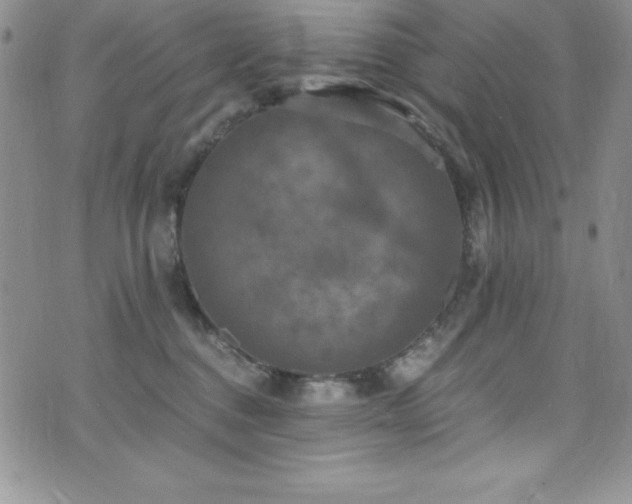 X0000073860376200608101256