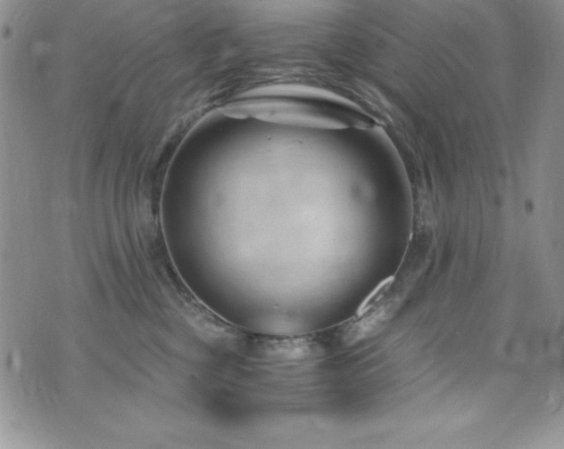 X0000073860377200608101256