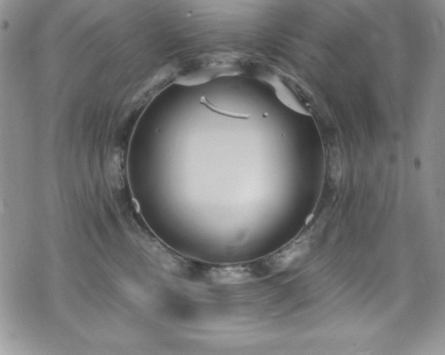 X0000073860378200608101256