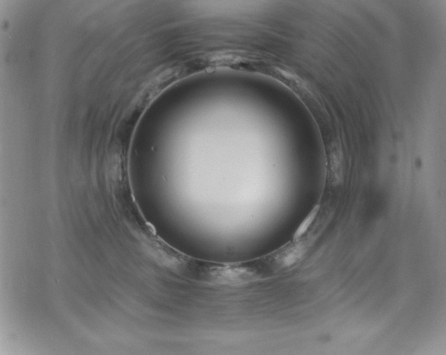 X0000073860379200608101257