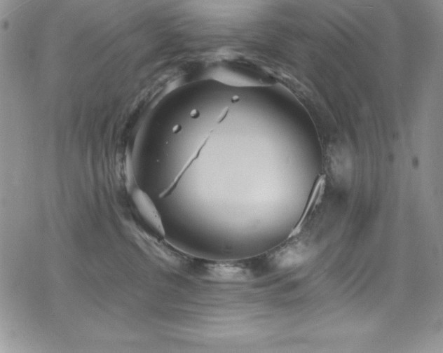 X0000073860380200608101257