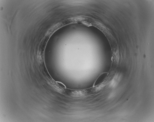 X0000073860381200608101257