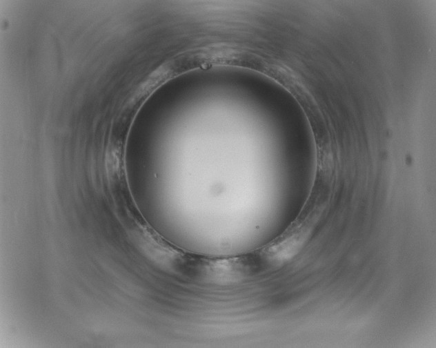 X0000073860382200608101257