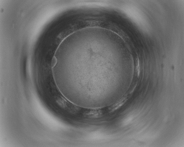 X0000073860383200608101257