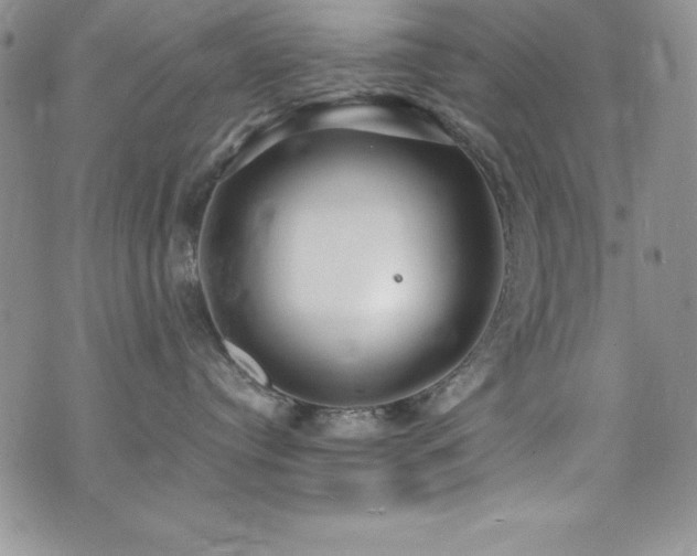 X0000073860384200608101257