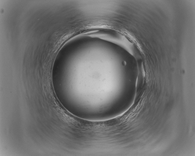 X0000073860385200608101256