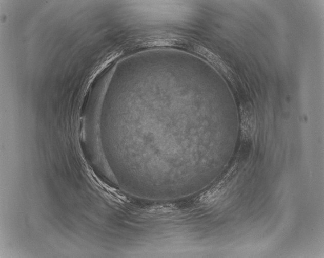 X0000073860386200608101256