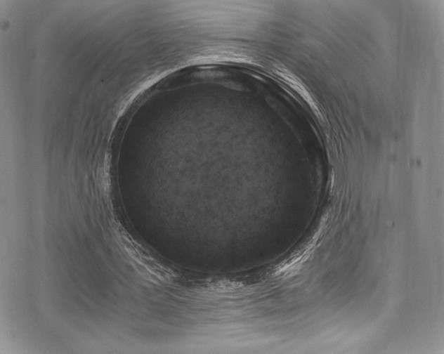 X0000073860387200608101256