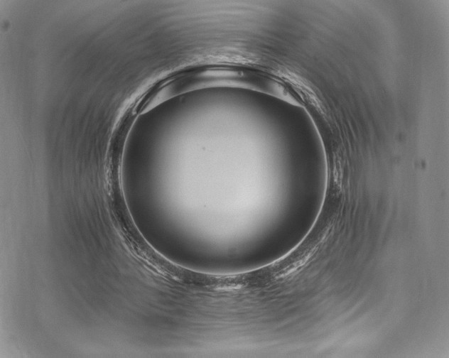 X0000073860388200608101256