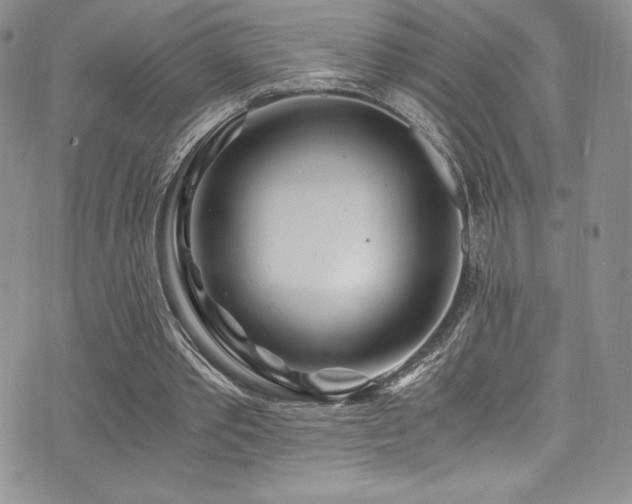 X0000073860389200608101256