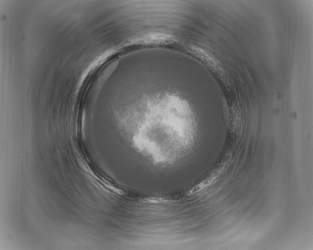 X0000073860392200608101256