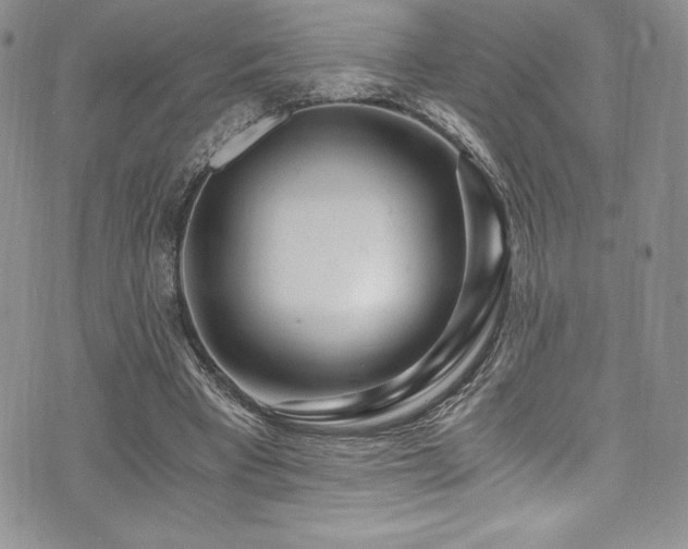 X0000073860393200608101256