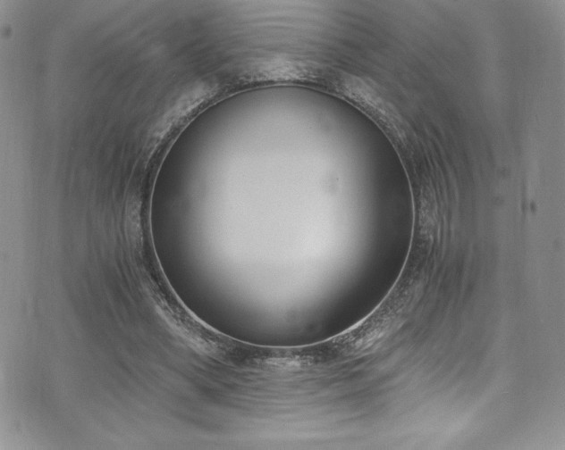 X0000073860394200608101256