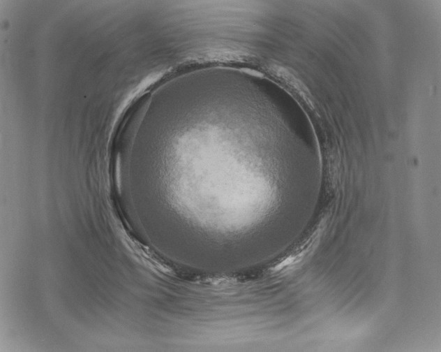 X0000073860395200608101256