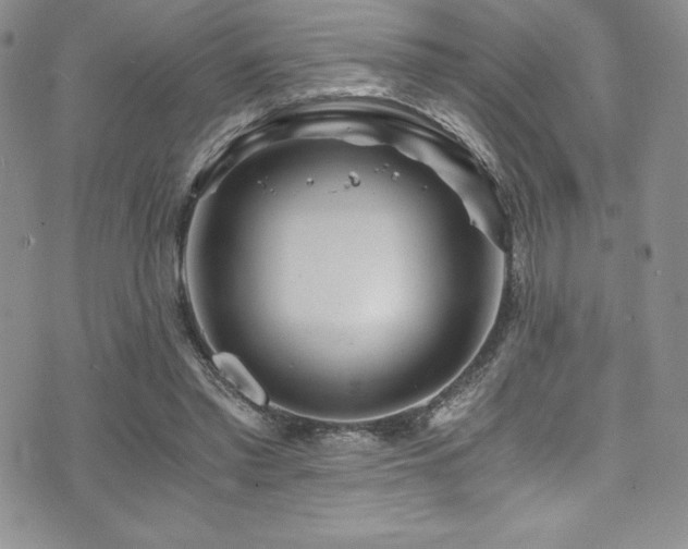 X0000073860397200608101256