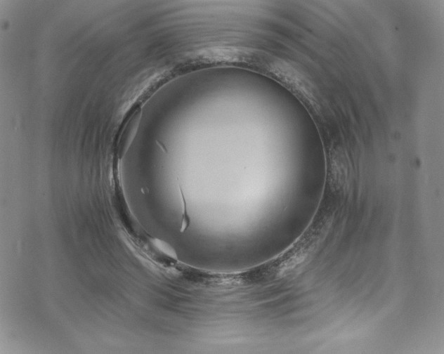 X0000073860398200608101256