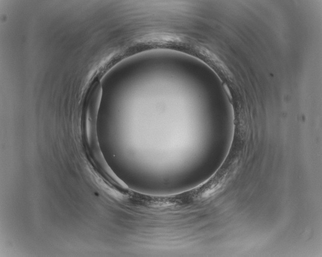 X0000073860399200608101256