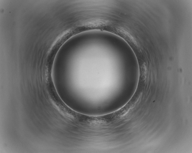 X0000073860400200608101256