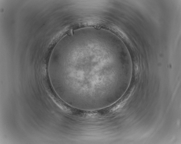 X0000073860401200608101256